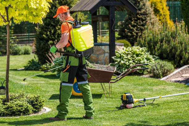 Best Mosquito Control  in Bloomington, CA